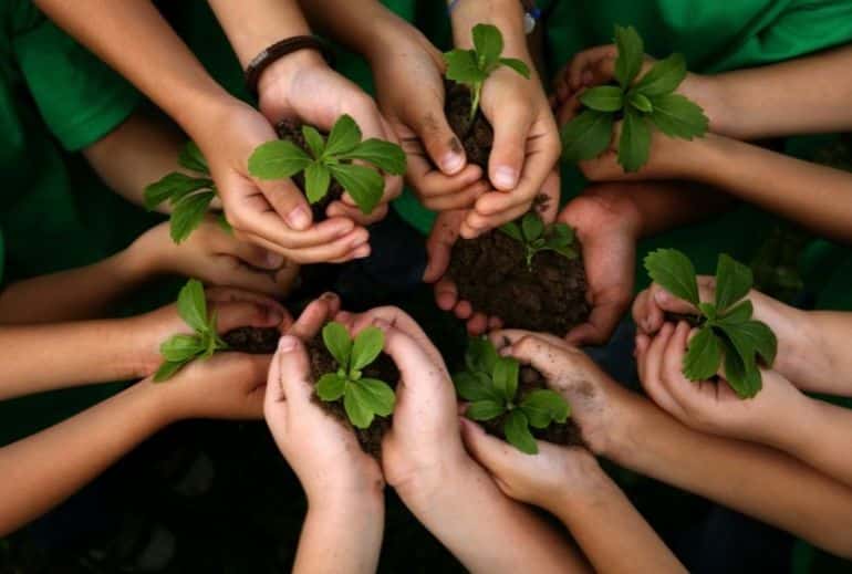 IAS Tech : Un acteur engagé dans la protection des forêts